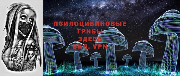 меф Ладушкин