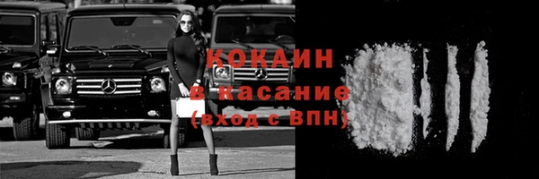 твердый Лиски