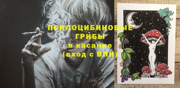твердый Лиски