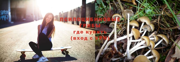 меф Ладушкин