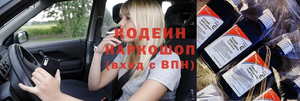 дживик Арсеньев
