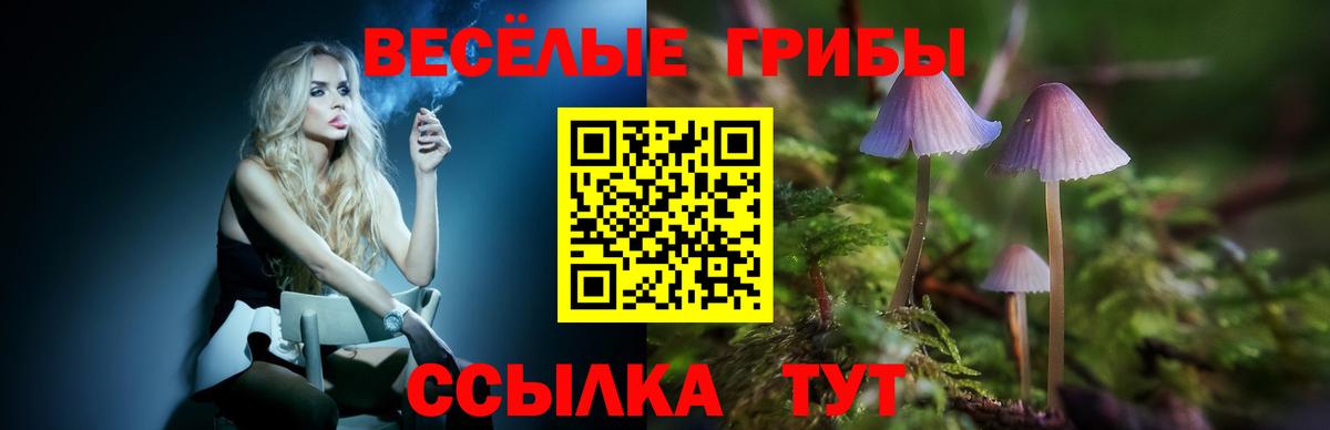 Мичуринск  Галлюциногенные грибы ЛСД  Вход с VPN  купить наркоту  Псилоцибиновые грибы Cubensis 